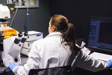Load image into Gallery viewer, AP Biology Essay Writing and Quantitative Skills - 1-week seminar class
